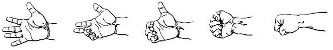 lege-hand-horizontaal